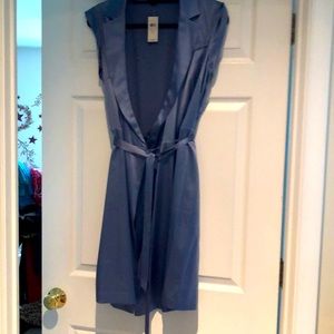 Ann Taylor silk dress